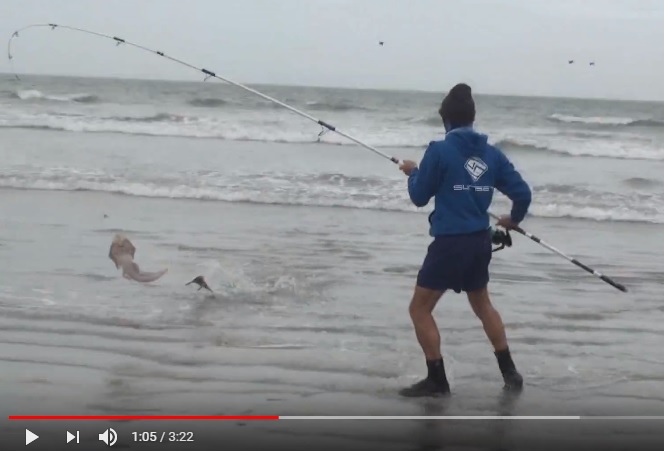 frederic baudin video afrique du sud 2017.jpg