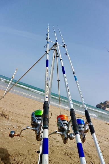 sunset osmose competition