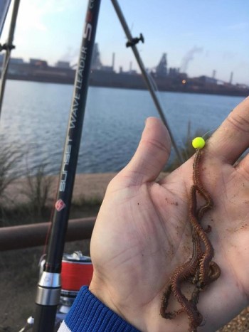 eschage appât demi-dure